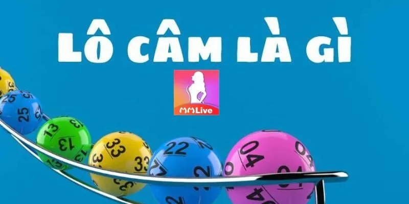 Giải đáp khái niệm đầu đuôi câm là gì?